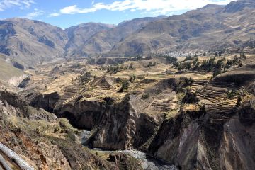 tour cañon del colca